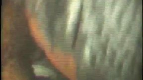 Ebony tgirl penis suckers (they are the best)