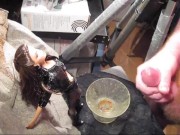 B.B.B. preview: Paige Turnah "Black Hottie" (cumshot only with SloMo)