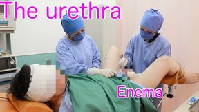 Dr. Yukino and Dr. Rui's Rigorous Examination