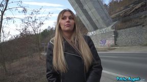 Public Agent - Hitchhiking MILF with great tits gets a big surprise