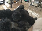 Do You Want a Banana?