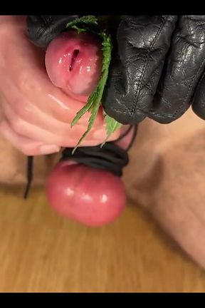 CBT Stinging Nettles Pump Cum