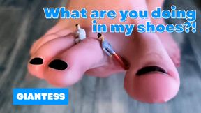 Giantess found you in her high heels