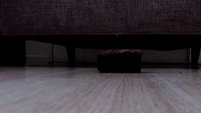 Cake Smash