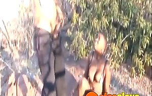 Afroslave-16-1-218-african-bucks-schwarze-fickstuten-vol2-2-edit-ass-