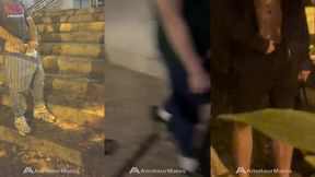 homemade compilation of amateur boys flashing their cock in the street