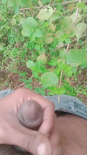 Desi teen boy masturbation