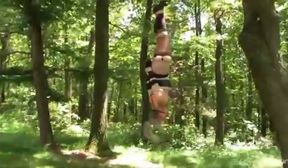 ss bound in the woods