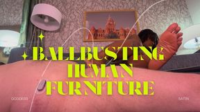 Ballbusting Human Furniture Ignore | Ebony Femdom CBT Female Domination Goddess Sadistic Satin