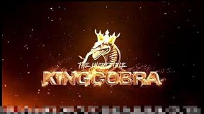 king cobra for wifey 2: the king is back!