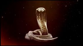 king cobra for wifey 2: the king is back!