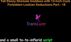 English Audio Sex Story, Tall Ebony Shemale Goddess with Massive Cock - Illicit Lesbian Seductions Part 18