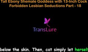 English Audio Sex Story, Tall Ebony Shemale Goddess with Massive Cock - Illicit Lesbian Seductions Part 18