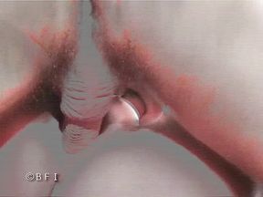 Anal Drilling on a Hard Way