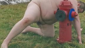 Chub Slave Pisses Like A Dog In Public!