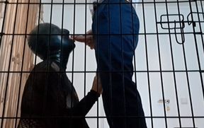 POV from the Cage – Sissy Slave Watches Mistress Sucks Master's Cock