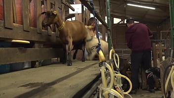 [SOFT] A la ferme avec Carollina !