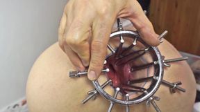 Take a Deep Dive Into My Spread Asshole