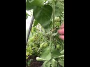 boy jerks off his dick in the garden
