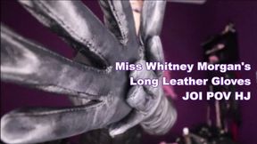 Miss Whitney Morgan: Long Leather Gloves JOI POV HJ - wmv