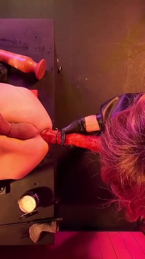 57.2 Deep Anal Dildos Slink