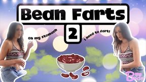 Custom: Bean Farts 2!