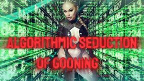 Algorithmic Seduction of Gooning