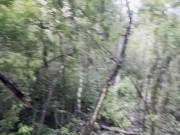 Pissing on top of a ladder while working in the jungle