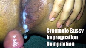 Creampie Bussy Impregnation Compilation!