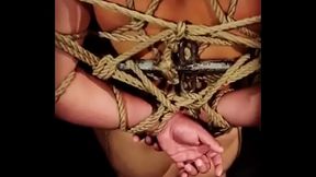 trim.4E9E6984-26DA-4EBF-968E-83BE98F746A4.MOV