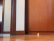 Your Italian giantess reduces you to dust in this magnificent video