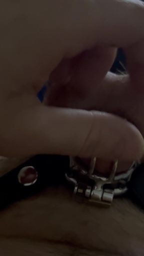 New to Chastity