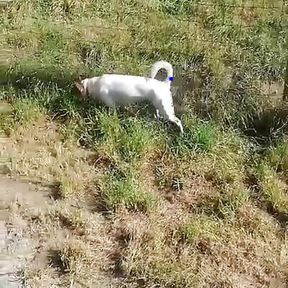 I ran into this crazy girl in a campsite she wanted to take it all in the way