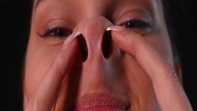 Big flaring nostrils - Custom order