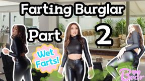 Custom: Farting Burglar 2!