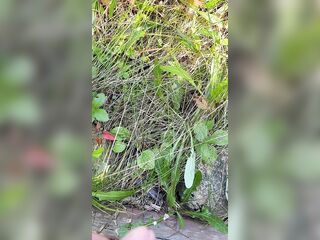 Can’t Hold My Pee, Piddle on Roadside - Dane Coxx