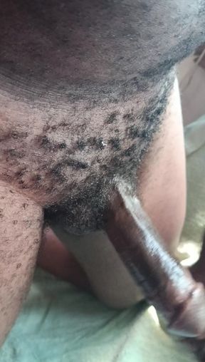 Close up Oiling Black Dick and Rubbing It Gently