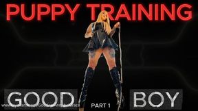 PUPPY TRAINING - GOOD BOY
