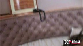 fodendo o rabo da estrela porno - anita ferrari - mad dog