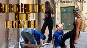 Ballbusting & humiliation in public for my paypiggie!