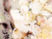 Erotic Spring Artistic FTM Queer Solo