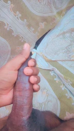Desi bada land   Indian big penis extra large