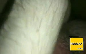not my daddy fuck me bareback