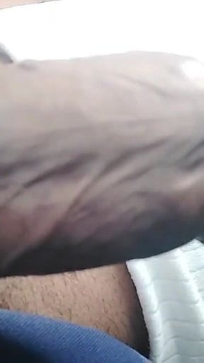 The Magic of Haryana