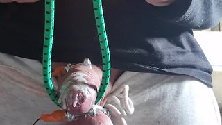 Electro-Played Slave: CBT, Wax, Rings, & Cumming!