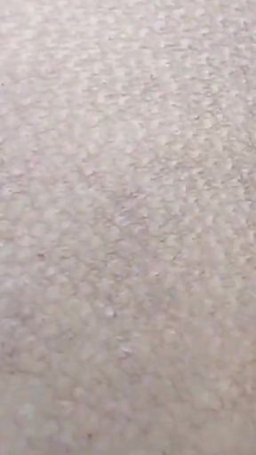 Jangal me mangal ho gaya part 3 village outdoor Sex Hindi Video   Clip 1