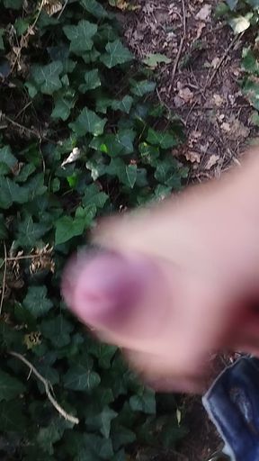 Outdoor masturbation, none caught me!