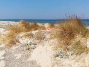 hairy bear huge full of cum big balls sunburning on the Greek gay cruising beach