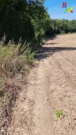 When I went sunbathing near the M4... passing cars could see me!   Clip 1