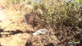Fucking in the garden between horny neighbors (full movie)